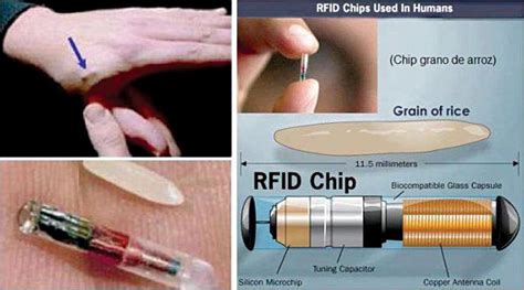 rfid chip applications|where are rfid chips used.